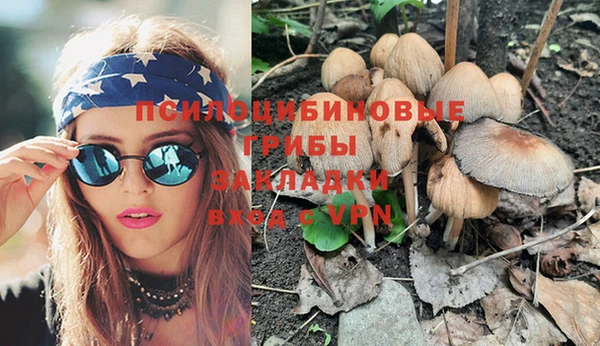 прущая мука Медногорск