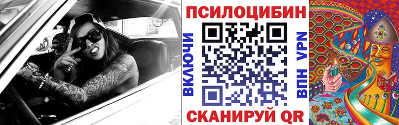 купить наркотик  Фокино  OMG   Галлюциногенные грибы GOLDEN TEACHER 
